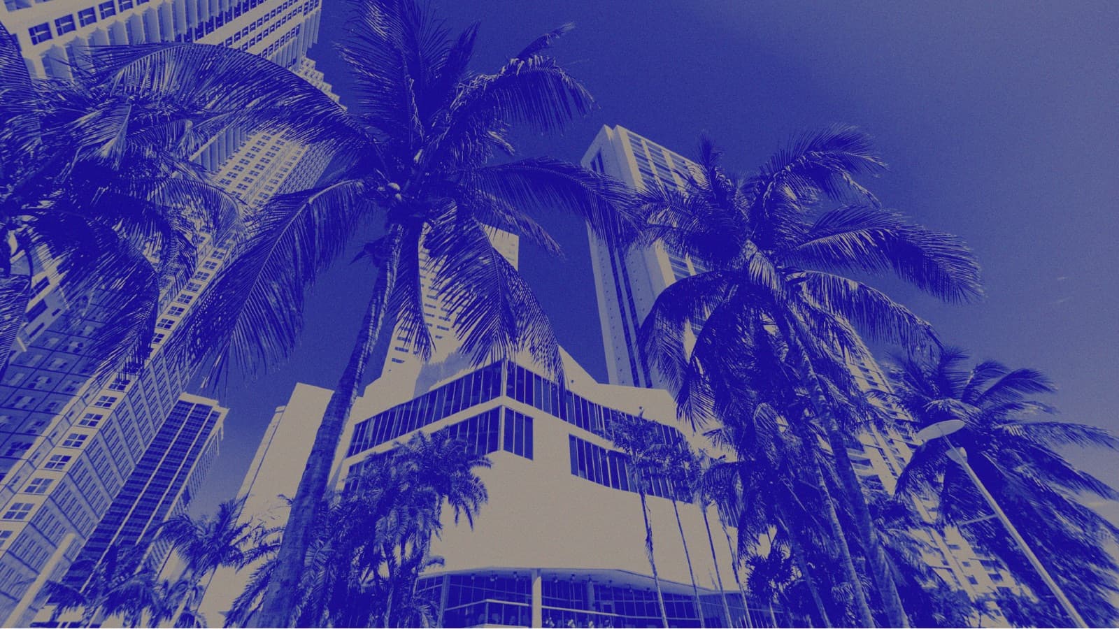 XENOM Miami 2026